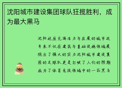 沈阳城市建设集团球队狂揽胜利,成为最大黑马