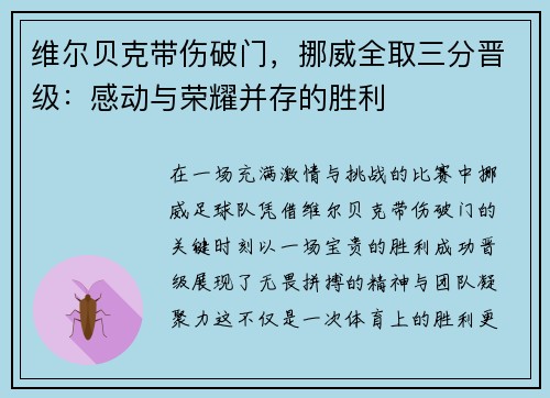 维尔贝克带伤破门,挪威全取三分晋级:感动与荣耀并存的胜利