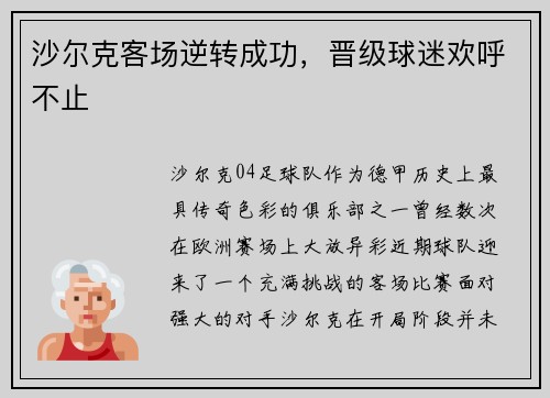 沙尔克客场逆转成功,晋级球迷欢呼不止