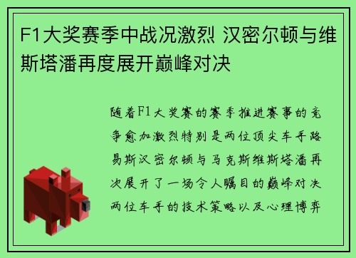 F1大奖赛季中战况激烈 汉密尔顿与维斯塔潘再度展开巅峰对决